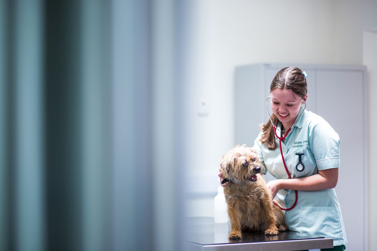 Harper Adams University Veterinary Nursing and Animal Physiotherapy